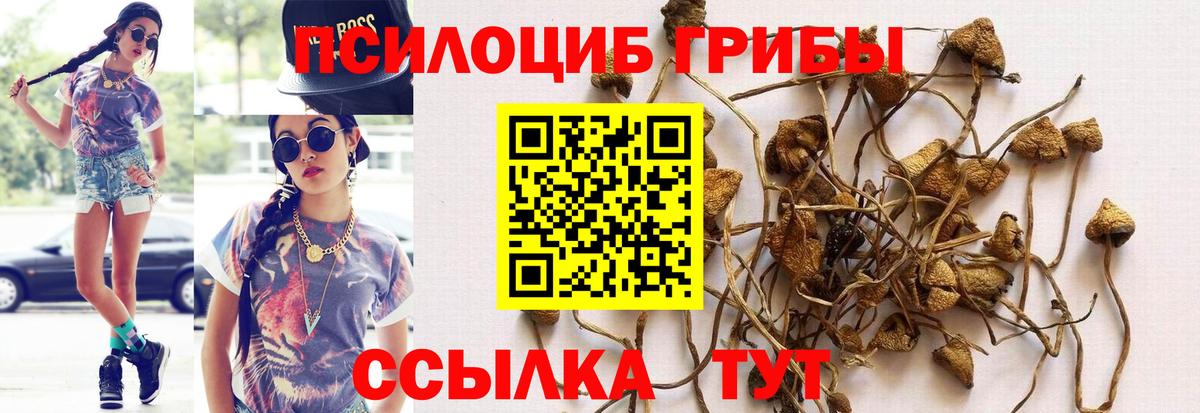 Галлюциногенные грибы мицелий Краснознаменск